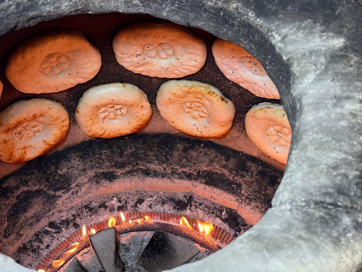Pohled do rozpálené pece tandoor s pečenými plackami, fotografie, avif